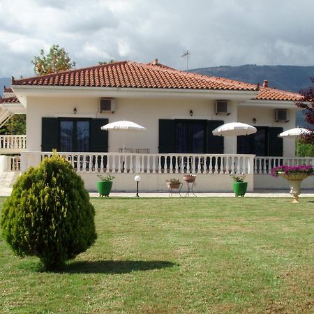 Finikes Studios Kefalonia Sami  Bagian luar foto