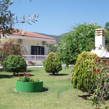 Finikes Studios Kefalonia Sami  Bagian luar foto