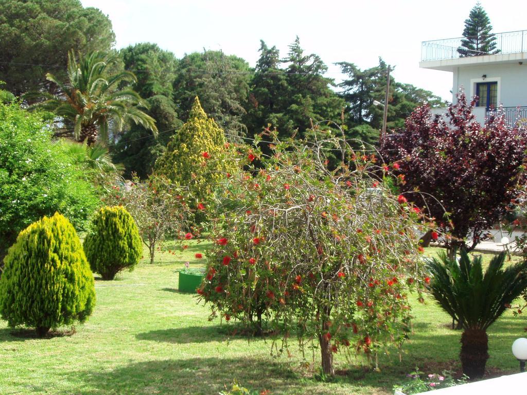 Finikes Studios Kefalonia Sami  Bagian luar foto