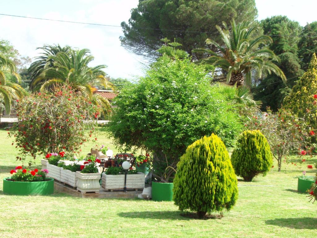 Finikes Studios Kefalonia Sami  Bagian luar foto