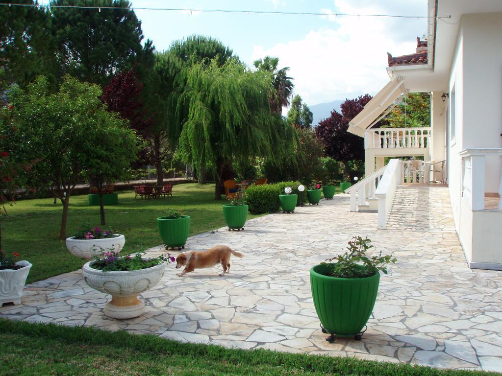 Finikes Studios Kefalonia Sami  Bagian luar foto