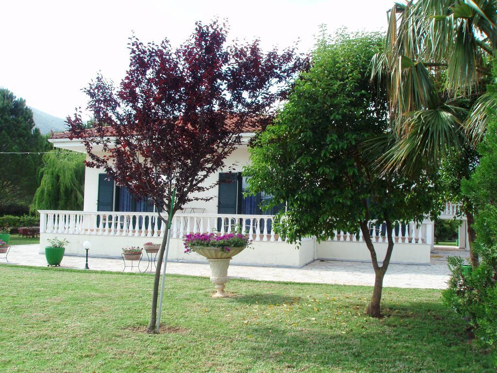 Finikes Studios Kefalonia Sami  Bagian luar foto