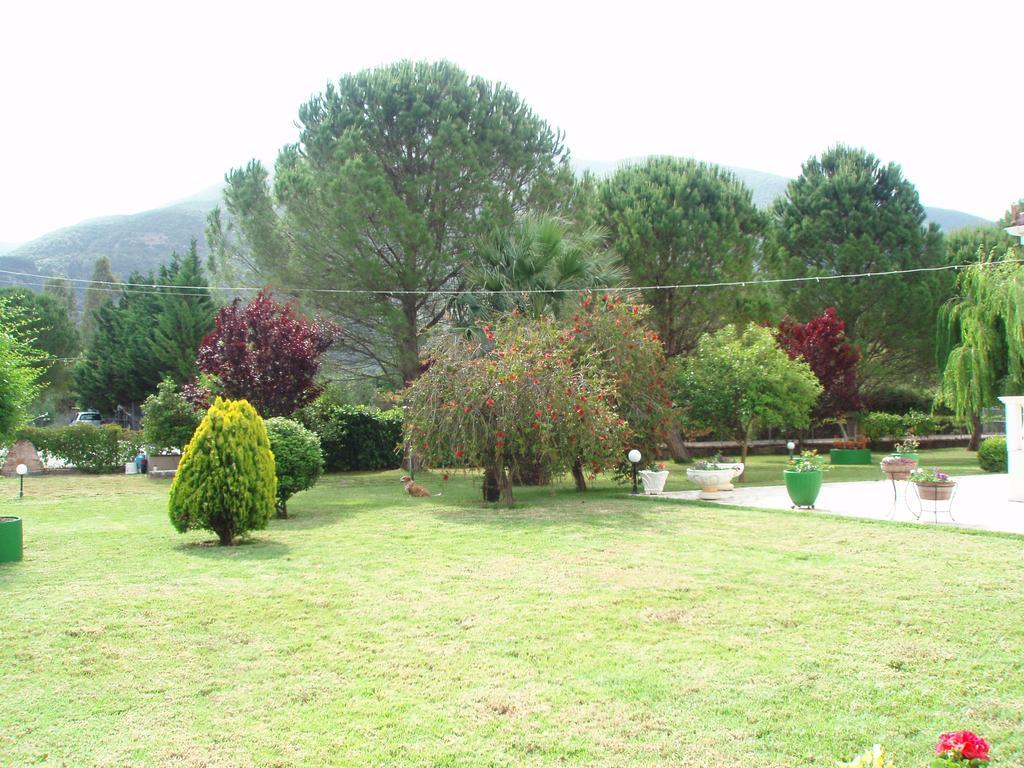 Finikes Studios Kefalonia Sami  Bagian luar foto