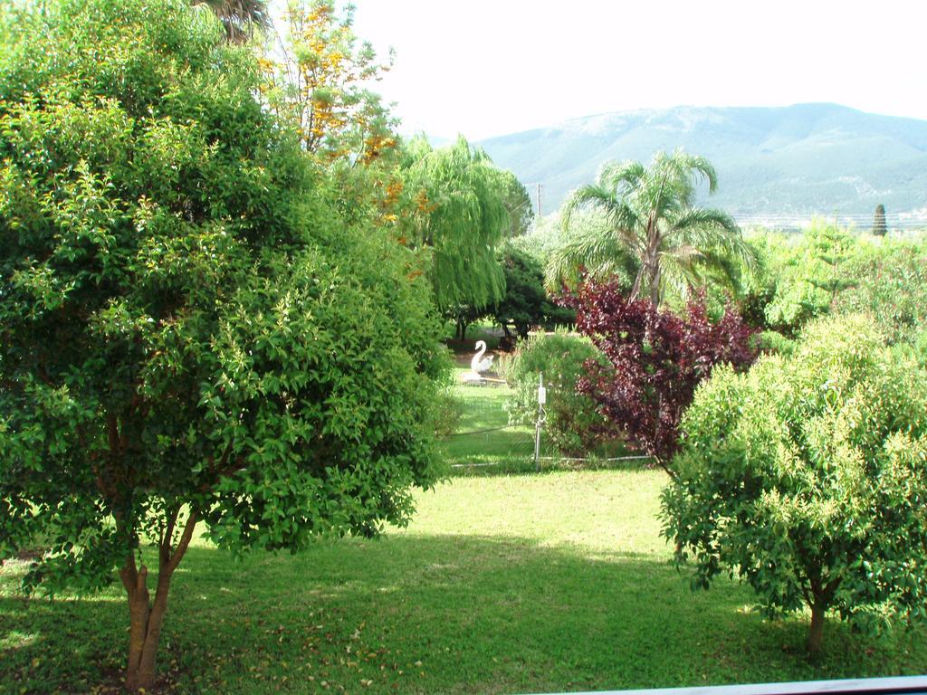 Finikes Studios Kefalonia Sami  Bagian luar foto