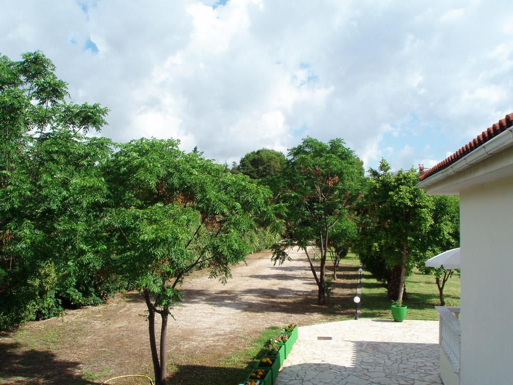 Finikes Studios Kefalonia Sami  Bagian luar foto